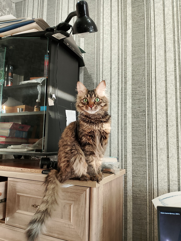 ���������