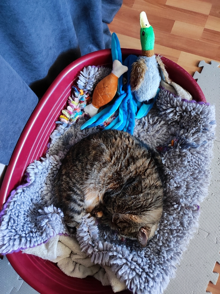 ����������� � ���� � �������