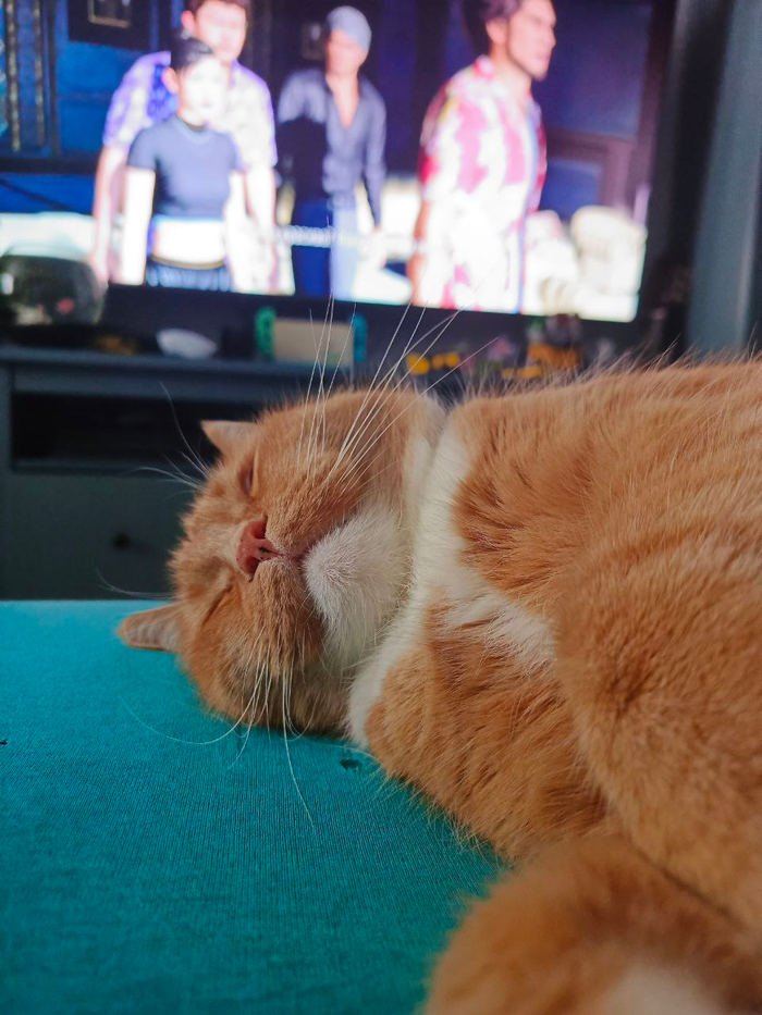 Little Bit News | ���������� ������� ��� ���� �� ��������� ��� ��� ���, ��� ����� ������� � ������ ����� �������� ����� ������