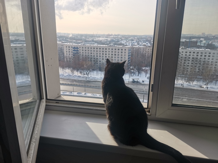 � �������� ����� � -15 �� ������