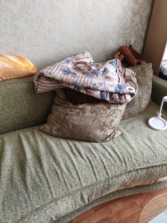 ����� ������� ������ ���