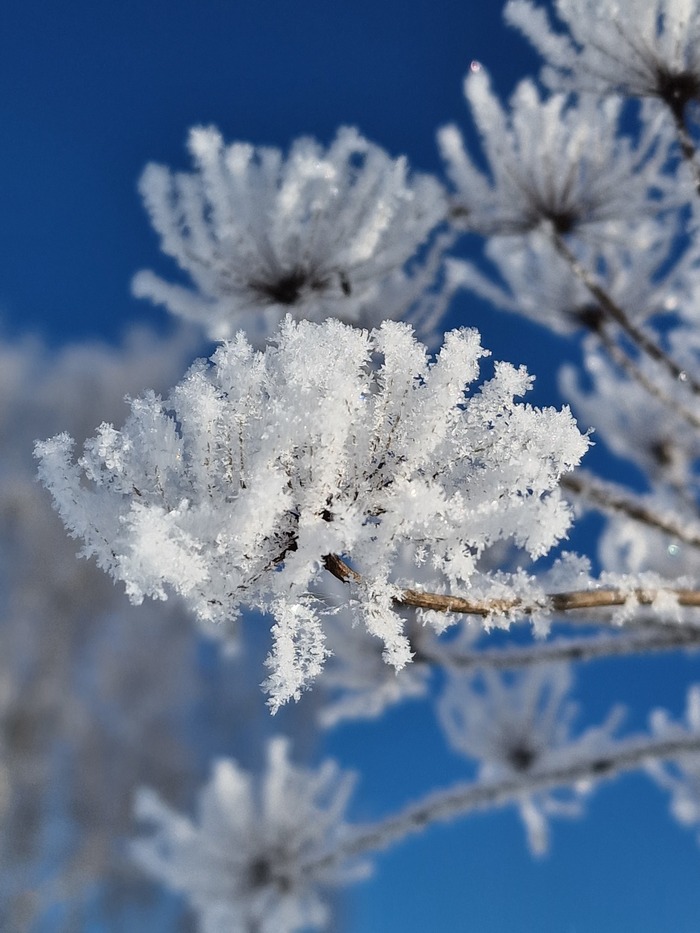 ������ �����