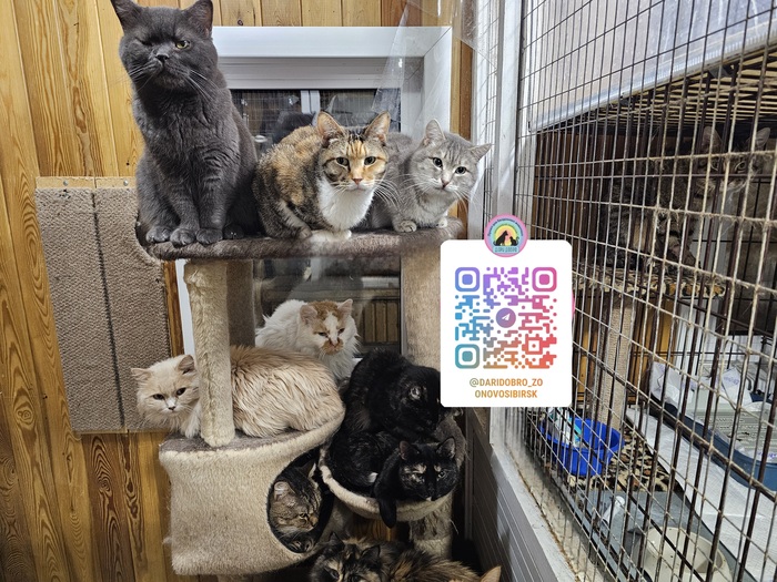 ��������� � ����! ����� ������� ������ �� ��������� ������ �� �����