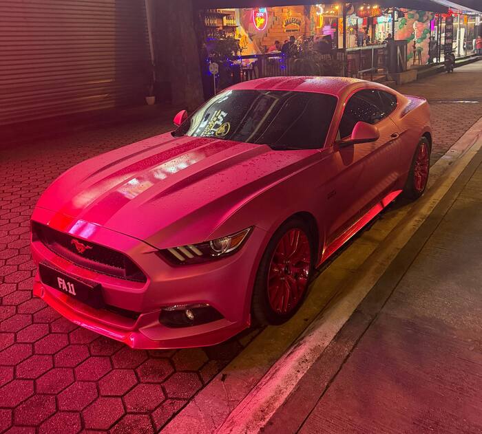 ��� ��� ��������