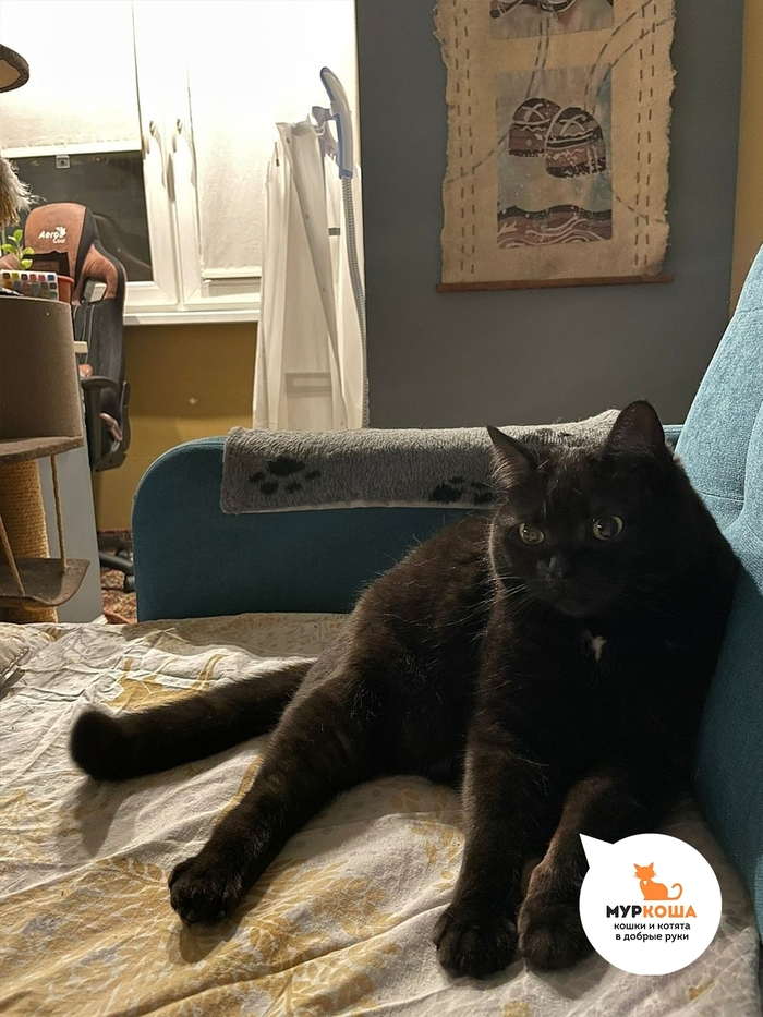 ����� �� ���������� �������� ����� ��������.