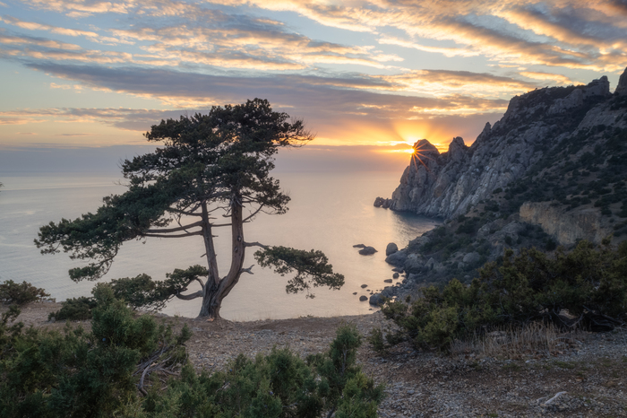 ����� � ��������