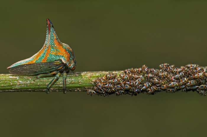 ��-��-��... � ��� ��� ��� ���� ��������...