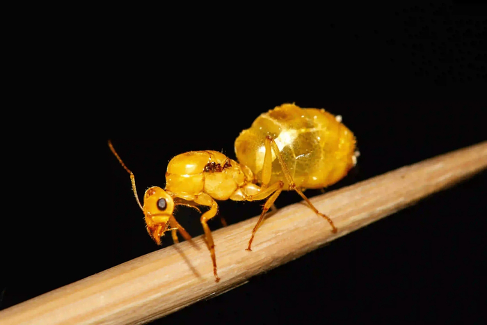 ��������� ������� ������� � ���� �������� ��� ����������!