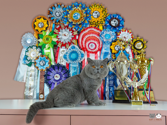 ����������� ���������� � ������ ��������!