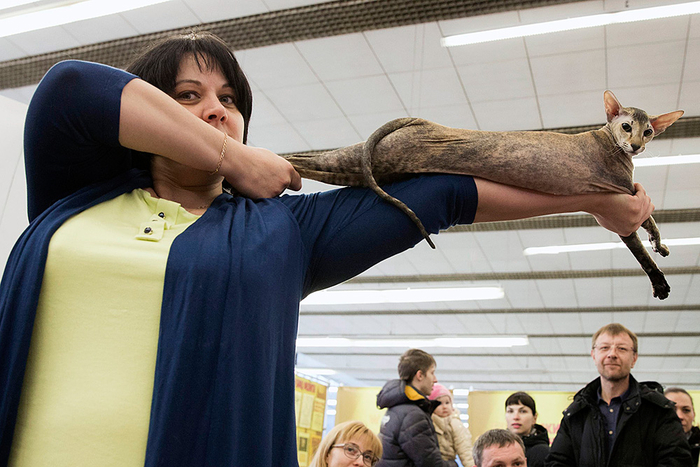 ������� ������� � ����� ��������!