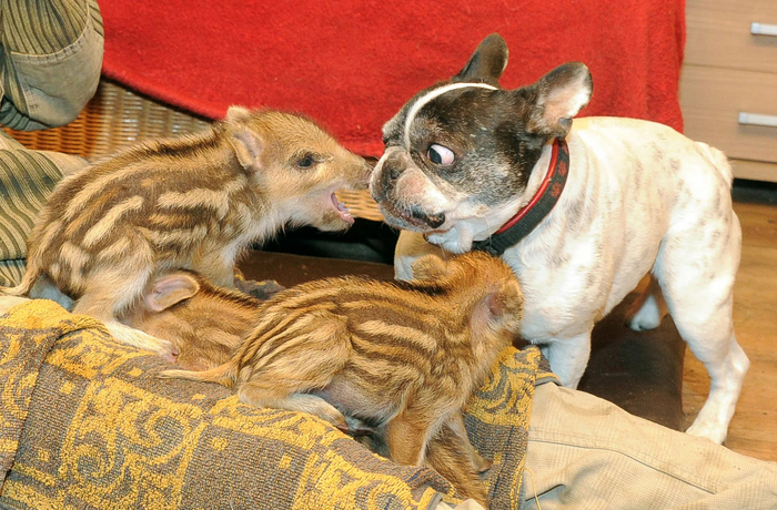 ����?