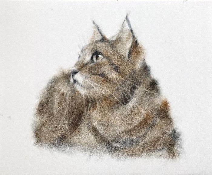 ��� �����