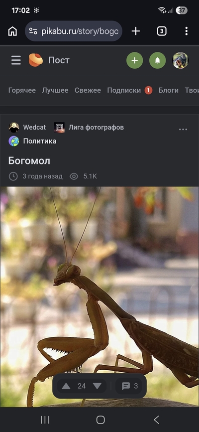 ����������� � �����������