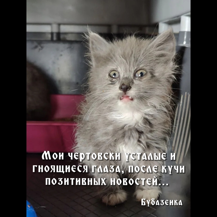 ��ë ���� ����� ������� �� ����� � ����� �� �����... 