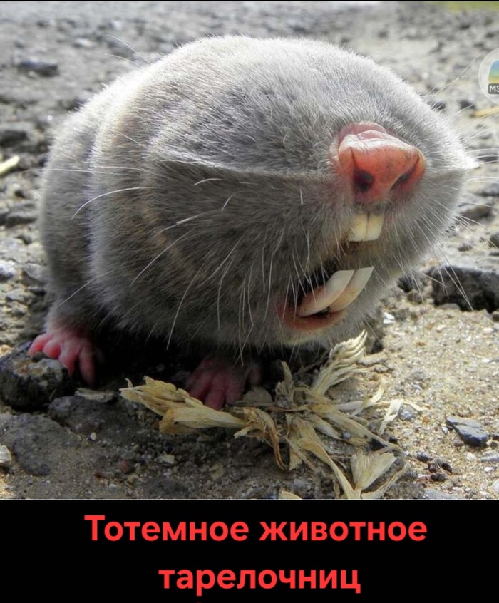 ����� �� ���� ������ �������