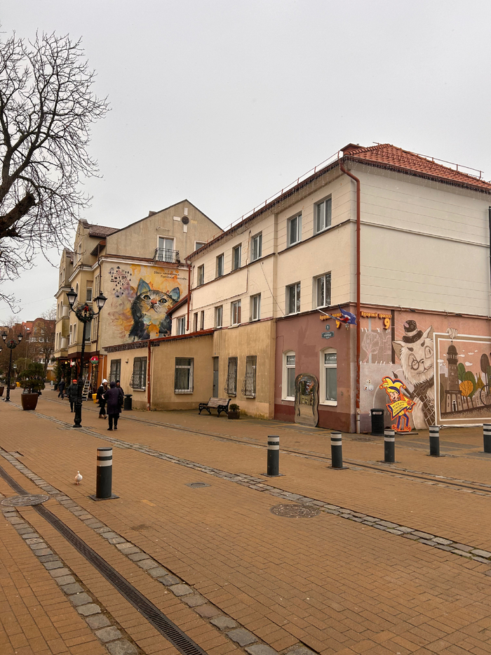 ����� �����