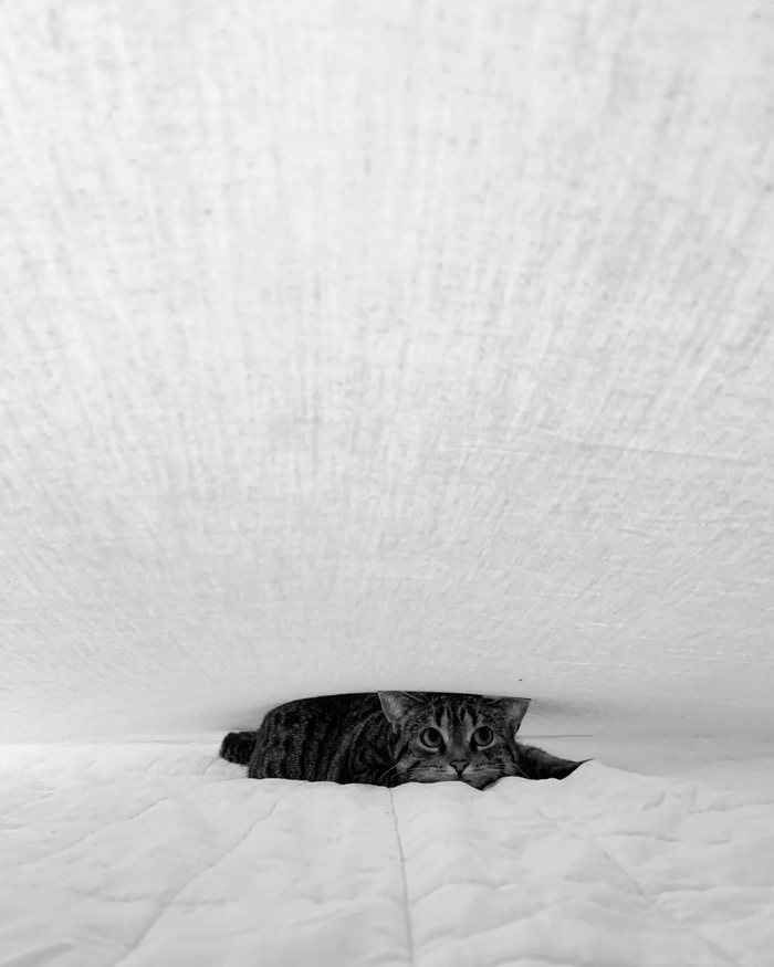 Под белым, белым покрывалом...