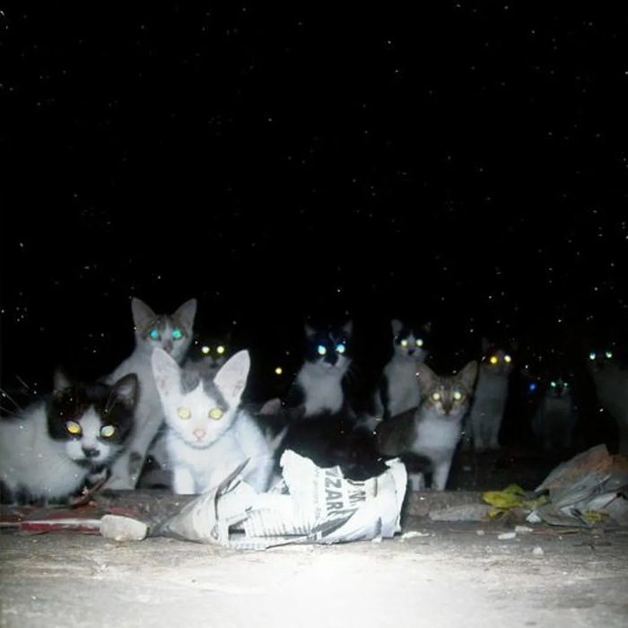 ������, ��������� ������� ����, �������!