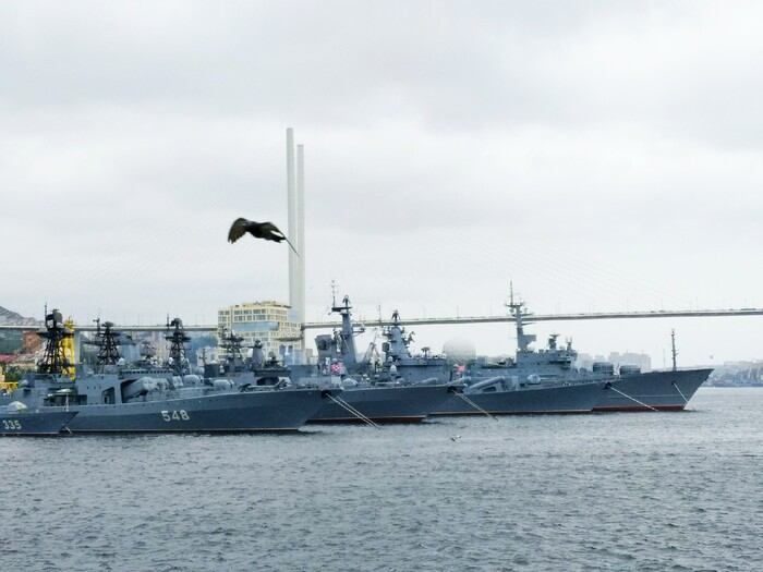 ���� ������ ������