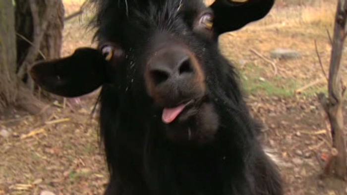 ������, � ��������� �������. �������, �.