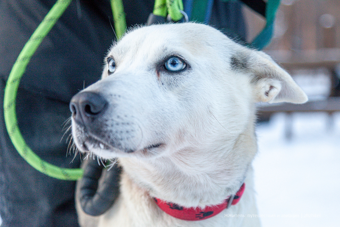 ��� �����