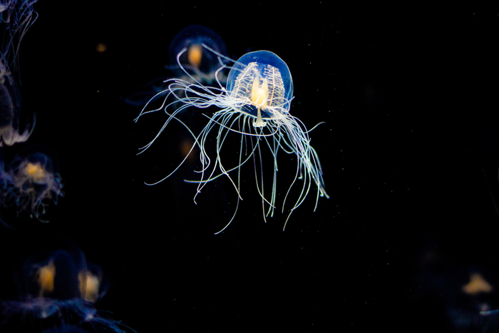 ������ 1000 ��� ����� ������������� ����� �������!