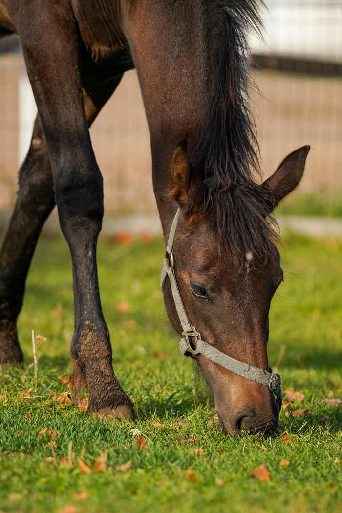 ������� ������ ��� �����