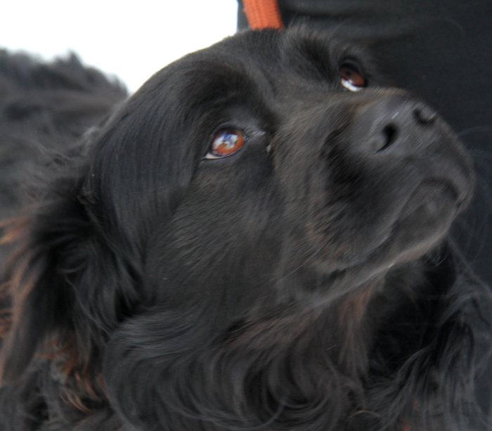 Меня обидели!