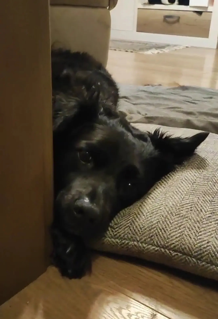 Как хорошо, что я тогда с вами на дороге встретился и не выпендривался:)