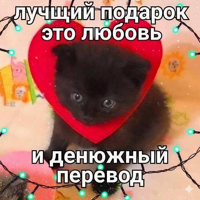 ��� ����😂