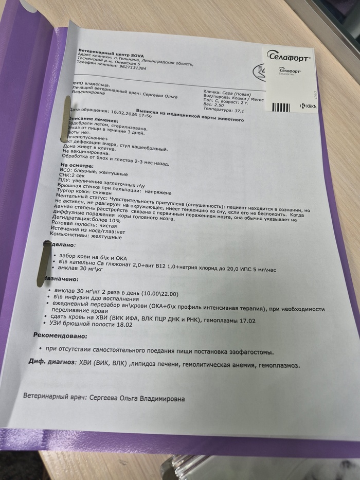 ��������� �������