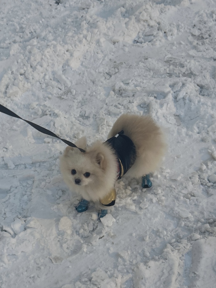 ������. ������� - � ������ ��-���-��-�!!!! � �� ���� ������� ������, ����� ���� �� �����