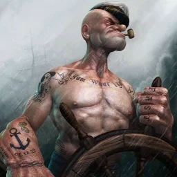 WildSailor