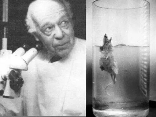 ����� ������� �� ������, �� ������� ����� ������!�