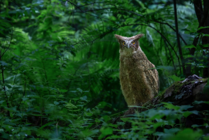 ����������� �����. ��� �������� �������, �� ������� ����� �� ����� ��� � ���� �����.