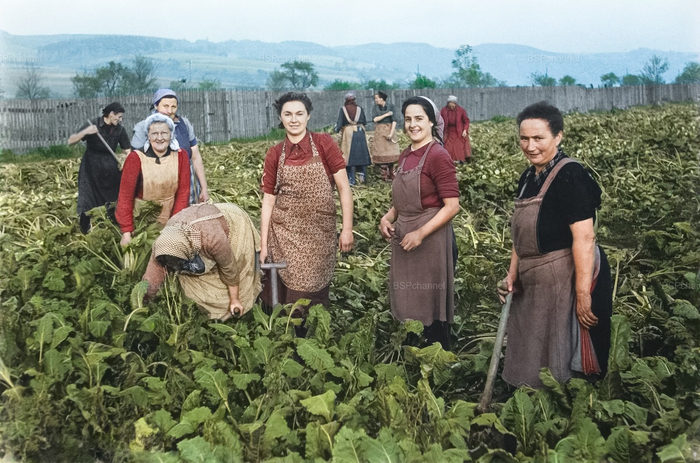 Фотограф: Людвиг Ширмер