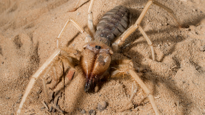 ������������ ������� � ����, ��� ������� ��� � ��� ���������. �� ������ �� ��������?