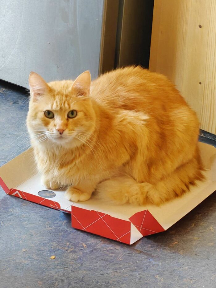 ˸���� ������ ������� ������