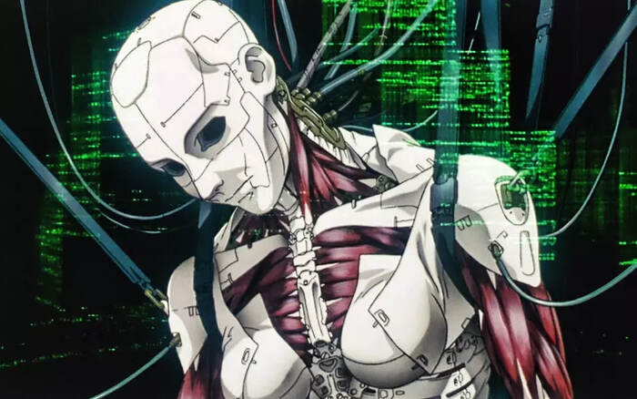 ���� �� ������ �������� � ��������� ���. ������ ����, 1995