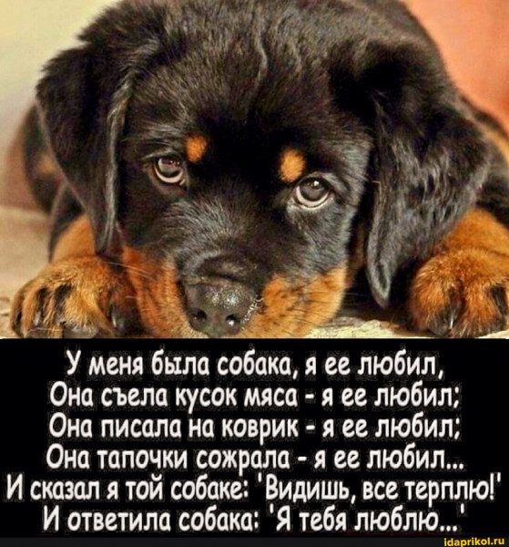 279-�, 251-�, 199-�, 169-�, ������� ..... � ������ ����������� ����