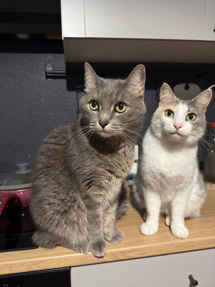 ������������, ��� ����� �� ����