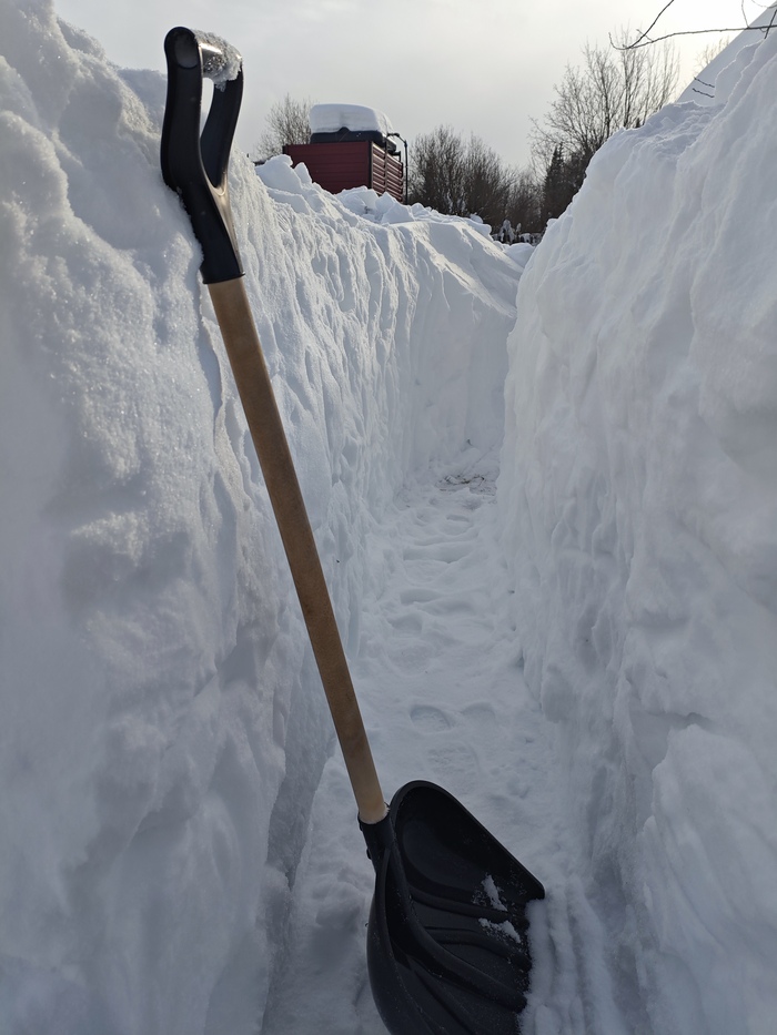 ���� ��� �� �������. � ��� �� �� ����. ������� �����. 