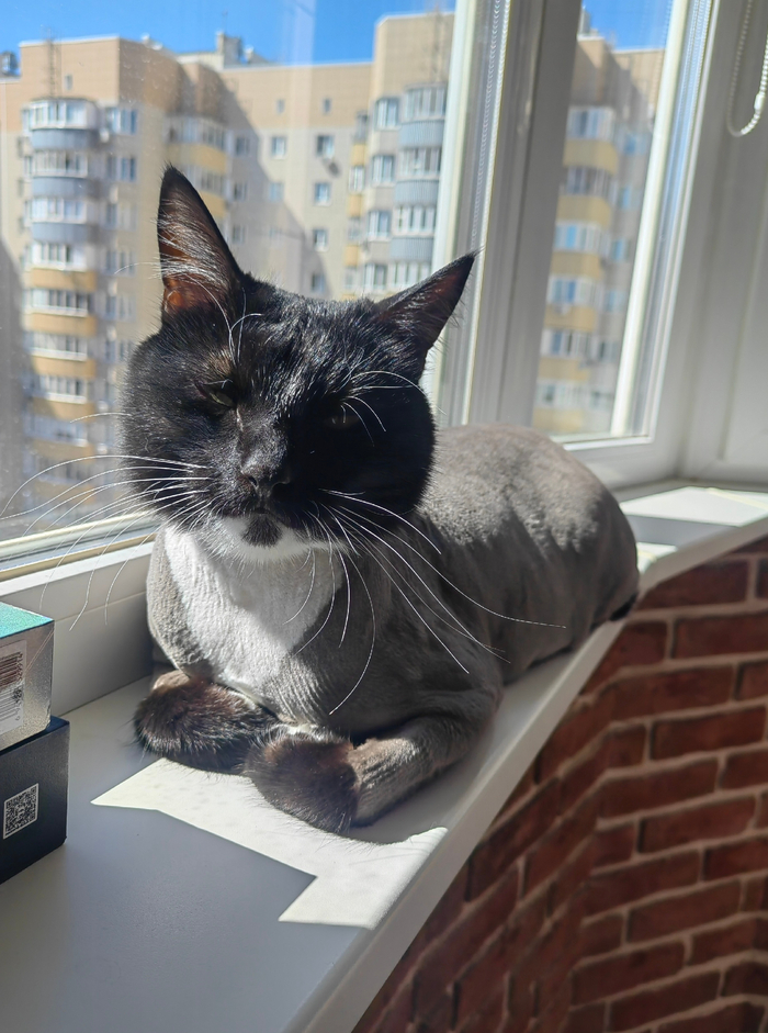 � �����������!