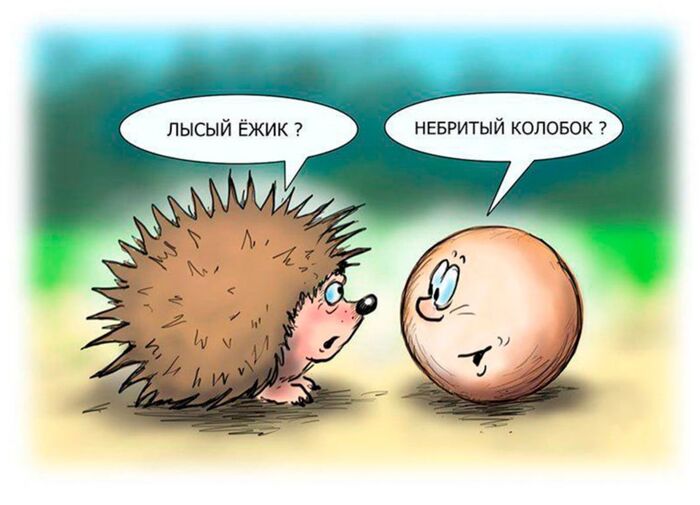 Свежих шуток вам в ленту