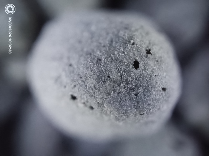 ���������� ���������������