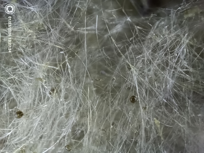 ������� � ����������