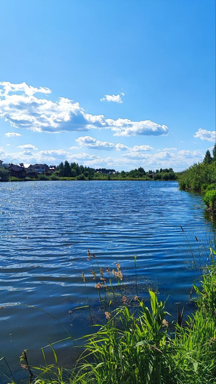 ������������� � ����