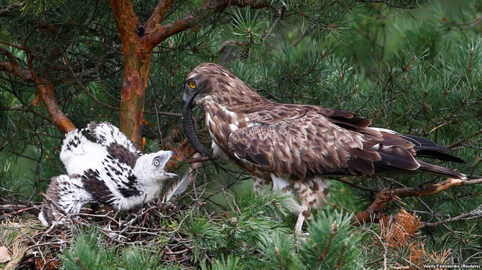 ���� �������� ����� ����� ������ ����� ��� ����, �� ������� ������ ������������� ������.