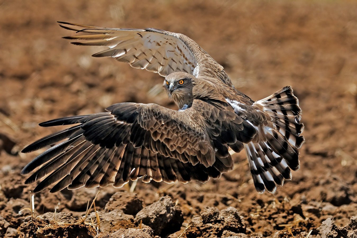 ���� ����� ������ � �� �������� ����� ������� ������, �� ��� ������������� ���������� ������!