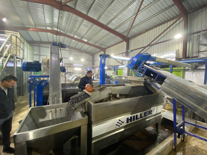 ����� �������� ����� � ��������